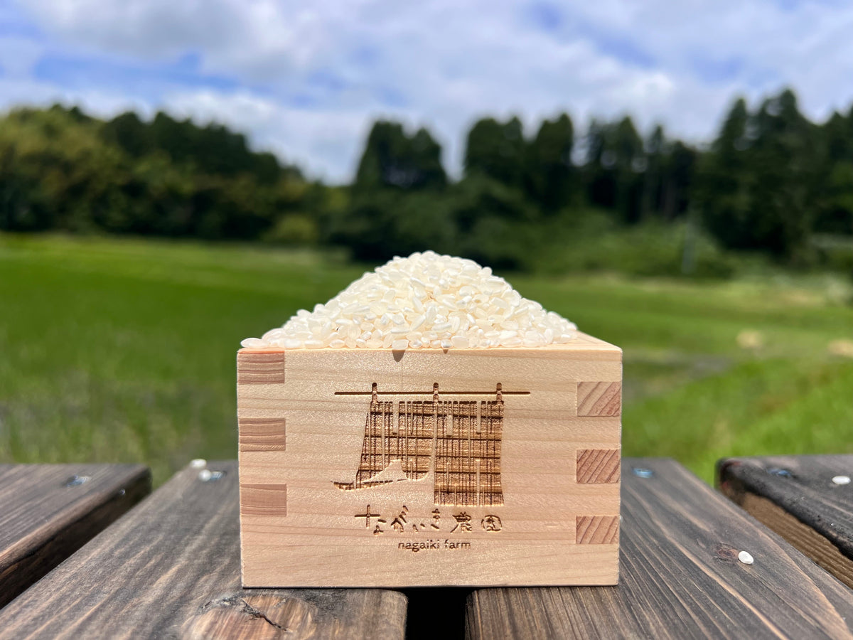 「ながいき米」　定期便（ライト）